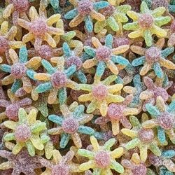 Octopus pieuvres acidulées Halal